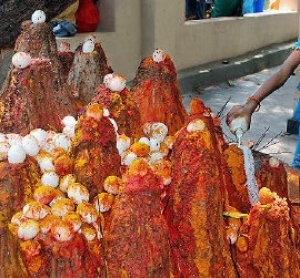 సర్పదోషాలను నివారించే నాగ పూజ