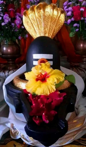 పుణ్యరాశిని పెంచే కార్తీకం