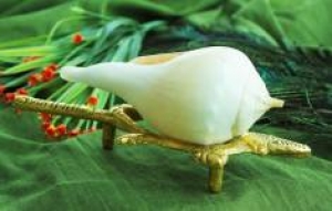 శివ పూజలో శంఖ జలాన్ని అందుకే ఉపయోగించరు