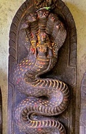 సుబ్రహ్మణ్యస్వామి ఆరాధన ఫలితం