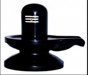 శివానుగ్రహాన్ని కలిగించే పూలు ఇవే