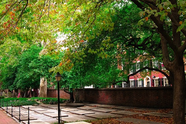 Green neighbourhoods linked with better heart health