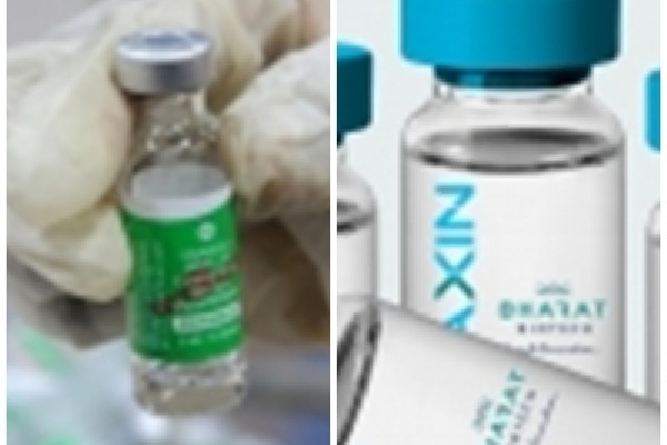 110 countries recognise India's Covishield, Covaxin: Source