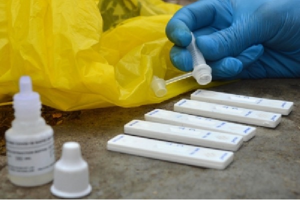 Andhra sends 15% Covid samples for genome sequencing