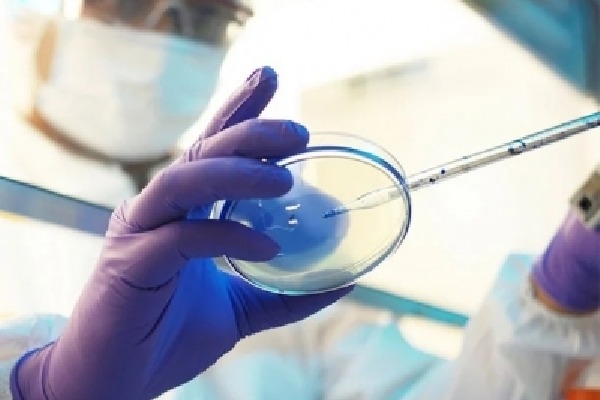 France detects new Covid variant, 12 infected