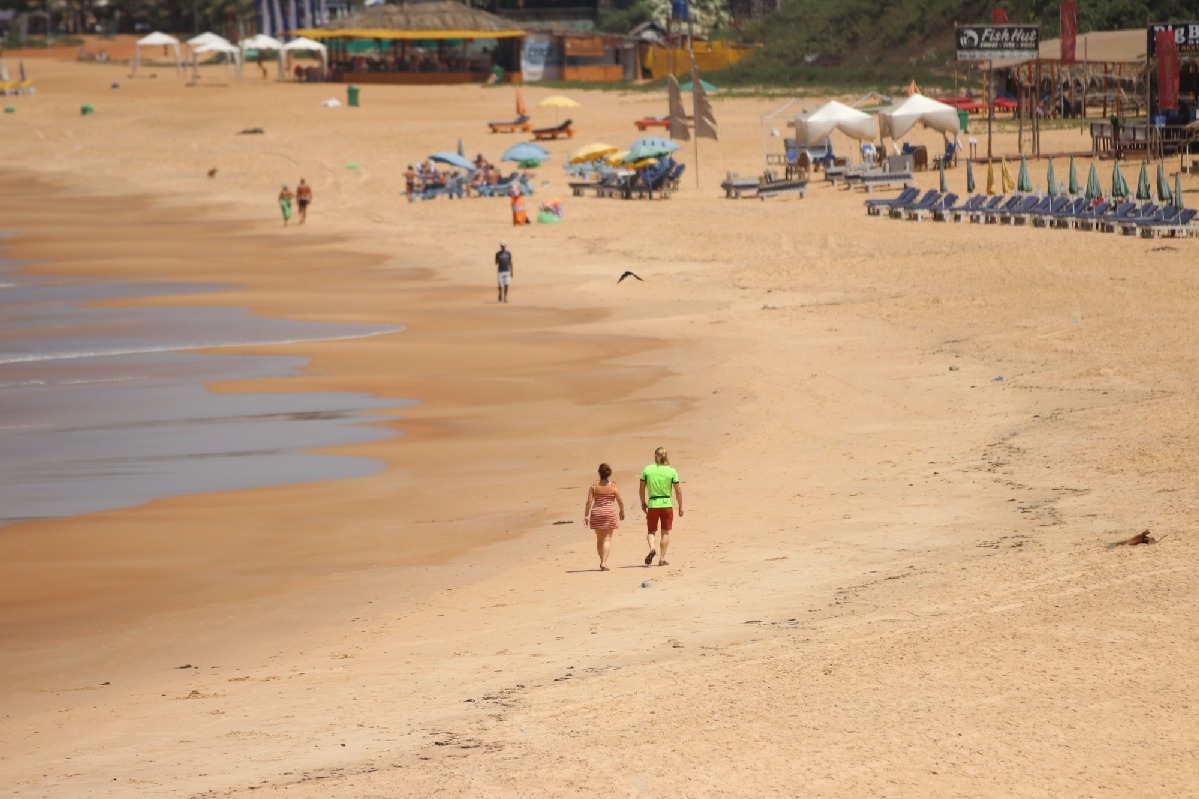 Go, Gold, Goa: Researchers find traces of gold in iron ore deposits