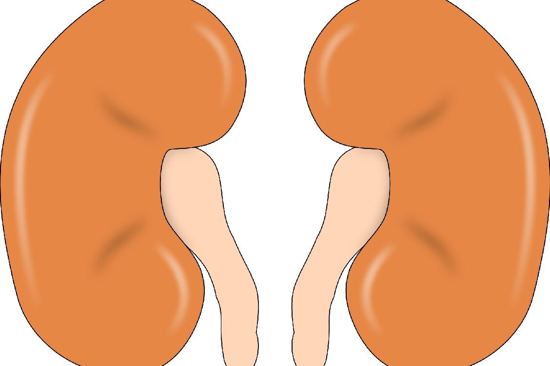 Low-dose lithium may help improve kidney health