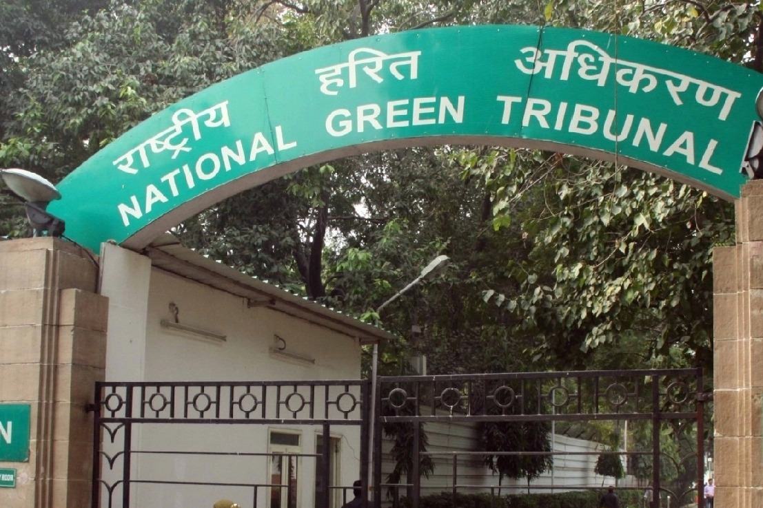 NGT asks Coastal Aquaculture Authority to act on illegal aqua farms in Andhra