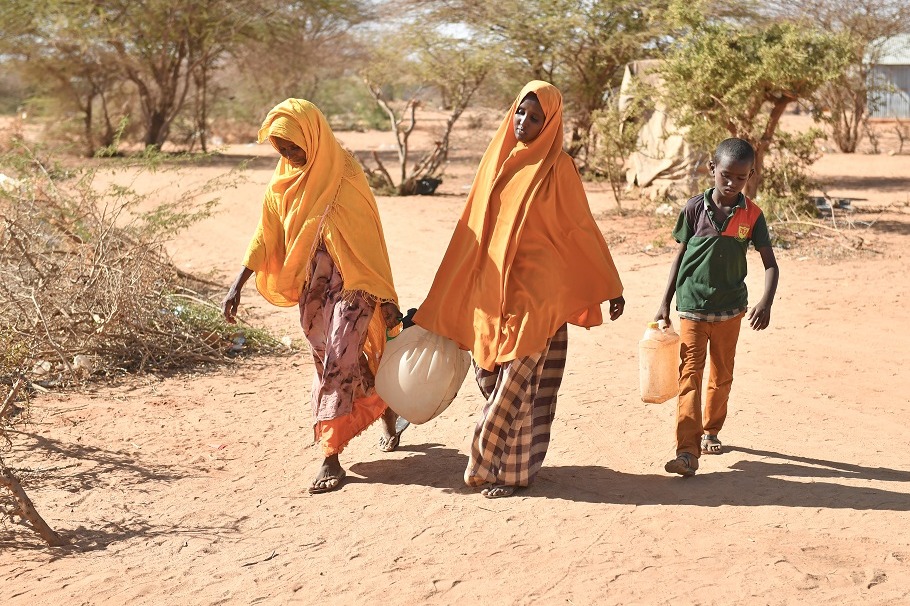 18.4 mn people reels under acute food insecurity in Horn of Africa: UN