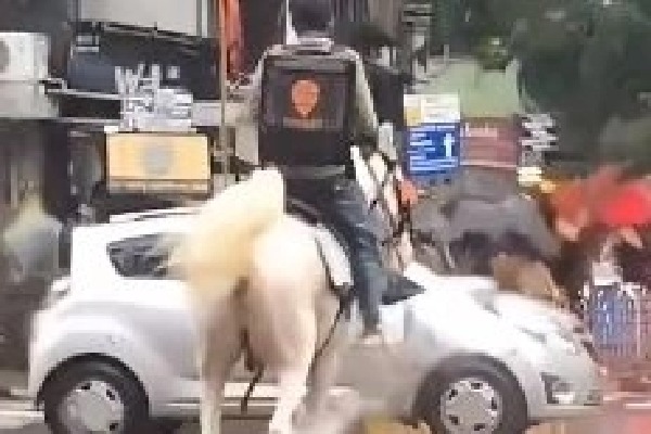 Swiggy looking for unknown delivery man riding horse who went viral