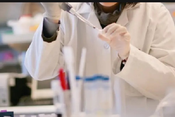 Israeli scientists create complete human-like embryo models from stem cells