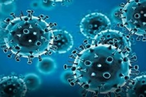 Another Covid outbreak ‘highly likely’: China’s 'batwoman'