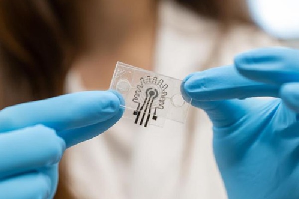 New wearable sensor can monitor glucose, body temp via human sweat