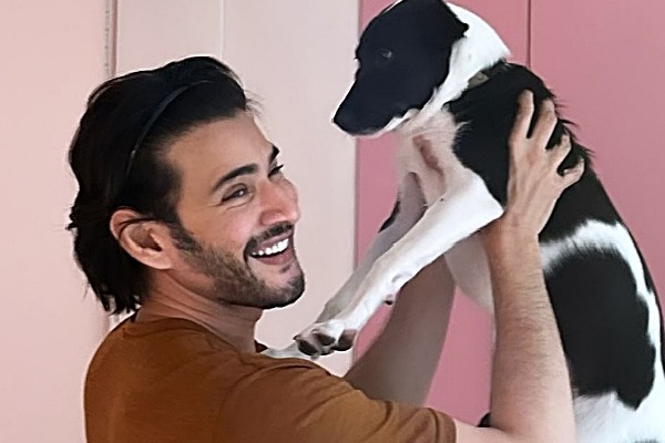 Mahesh Babu spends Sunday with pet dog, calls it the 'best way'