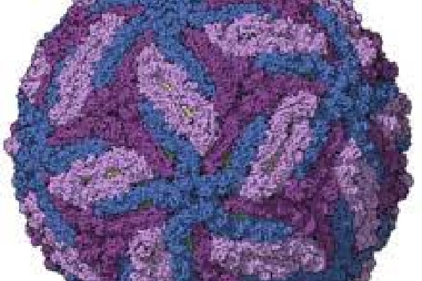 Kerala: Mystery sickness at Thalassery court related to Zika virus