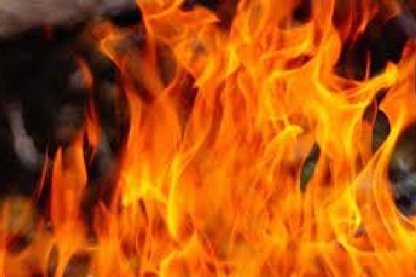 10 dead, over dozen critically injured as bus catches fire in MP's Guna