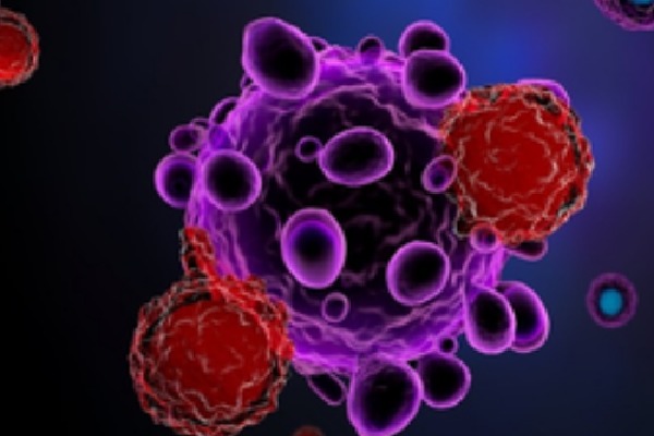 Cell, gene therapy to rule pharma sector in 2024: Report