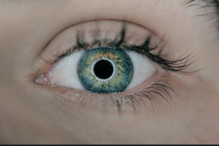 80% of glaucoma cases go undetected in India: Experts