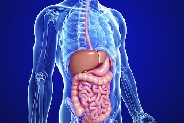 Preservatives used in food have unexpected effects on gut microbiome: Study