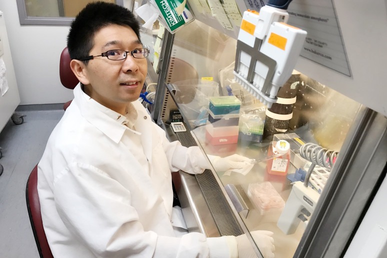 US scientists 1st to 3D-print functional human brain tissue