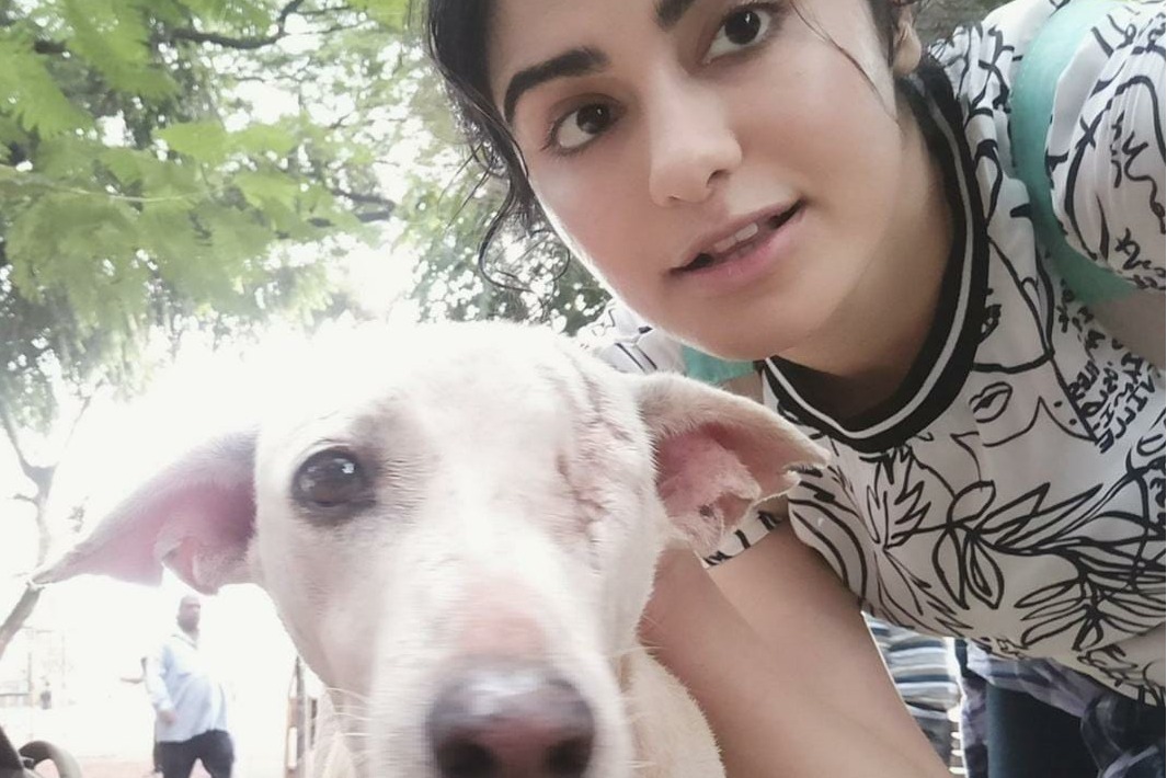 On Valentine's Day, Adah Sharma joins hands with animal hospital