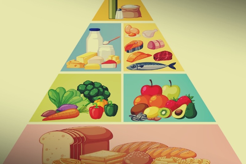 Balanced diet makes immune system more resilient to infections like TB: Health Ministry