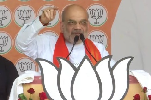 Vote for lotus if you want strong PM, says HM Amit Shah