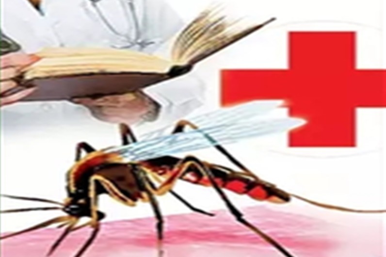 Monsoon brings surge in dengue cases: Doctors advise caution, early detection