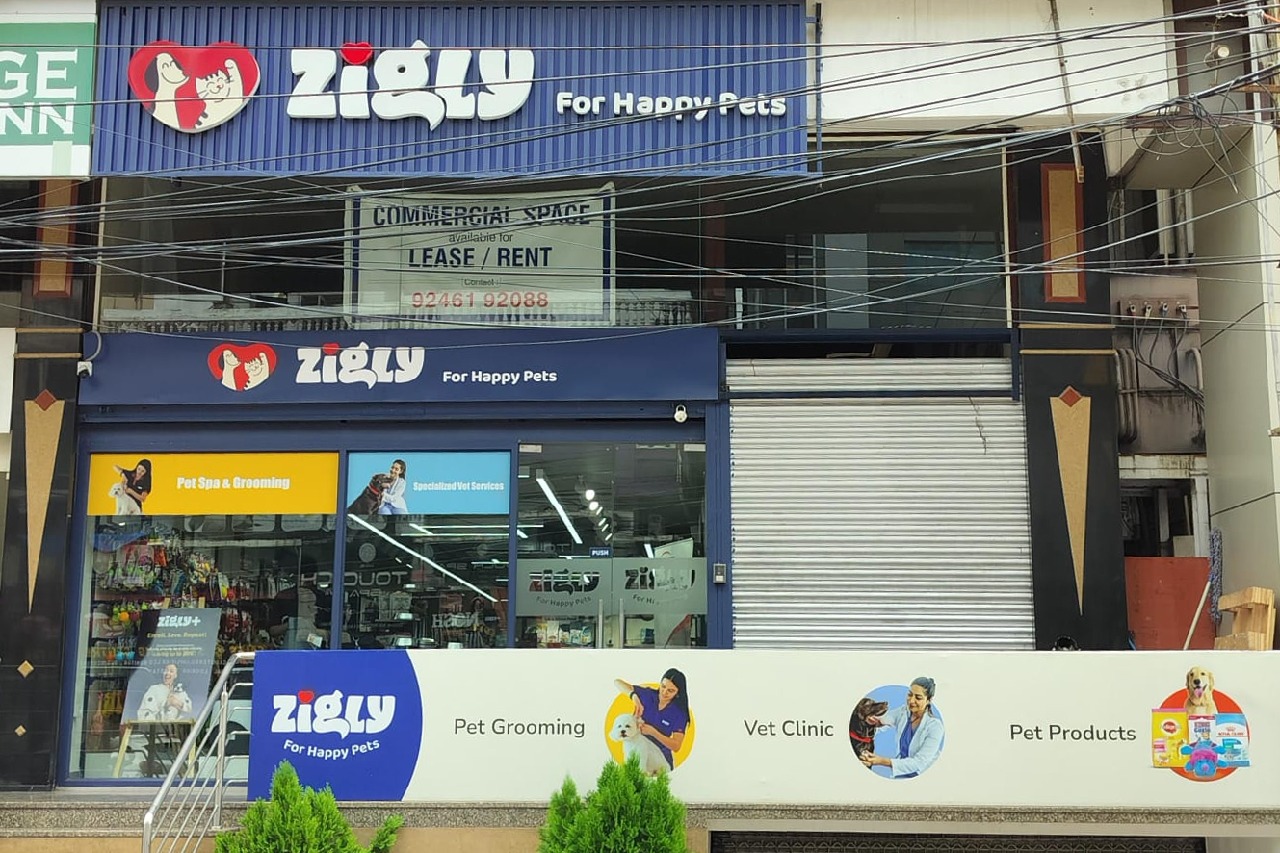 Expanding pet care offerings, Zigly introduces vet care services in Secunderabad to create a happy space for pets