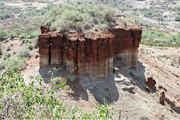 Fossil hotspots in Africa, a missing link in evolution