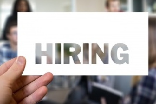 Surge in white-collar jobs in India, IT roles in demand: Report