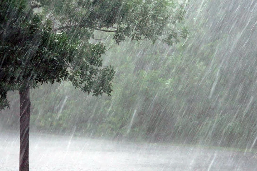 TN govt gears up to tackle excessive rainfall during northeast monsoon