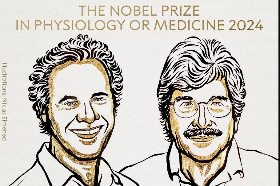 US scientists awarded 2024 Nobel Prize in Medicine for microRNA discovery