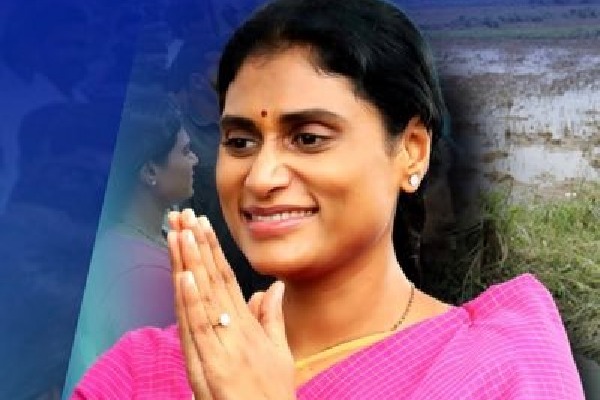 Congress appoints coordinators for 50 Assembly segments in Andhra Pradesh