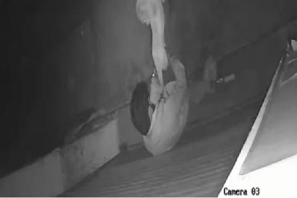 'Depraved Act': Karnataka youth booked for attempting to 'rape' stray dog!