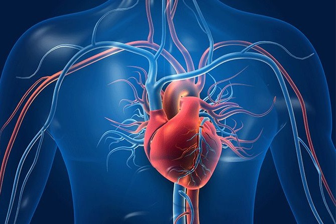 Even moderate exercise for over 2 hours every week may boost heart health