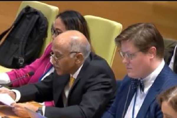 Inclusion of countries from Africa, Latin America for permanent seat must for effective UNSC: Parvathaneni Harish