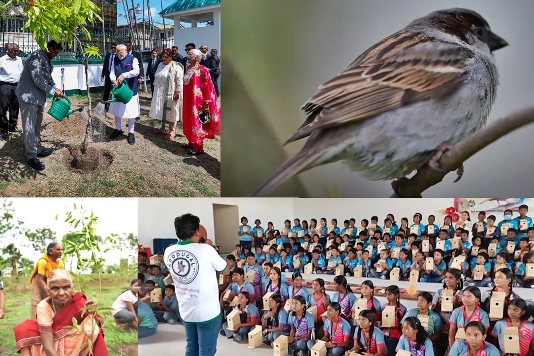 100 crore trees in five months: PM Modi lauds Ek Ped Maa Ke Naam' campaign success