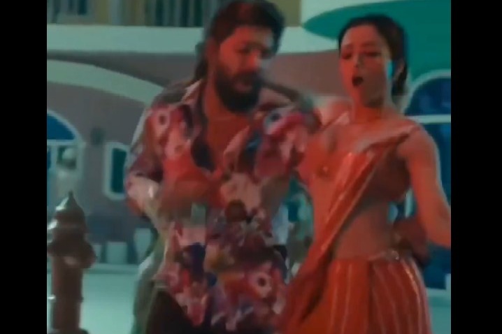 Petition Challenges Pushpa-2 Ticket Price Hike in Telangana High Court