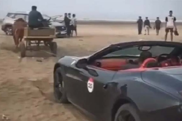 Ferrari Car Rescued by Bullock Cart on Raigad Beach: Viral Video