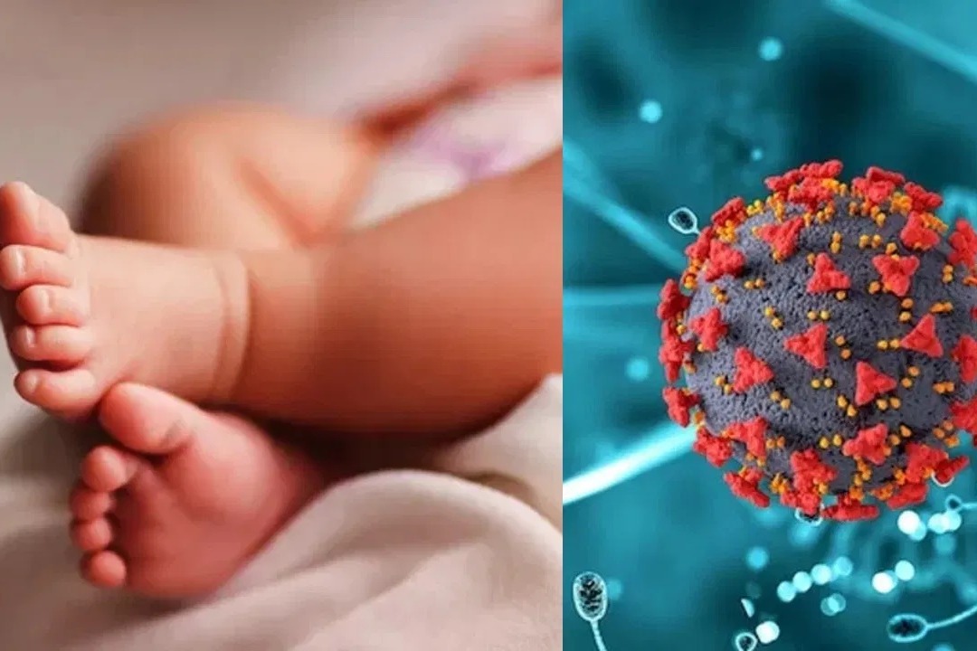 Chinese Virus HMPV Detected in Bengaluru, Eight-Month-Old Baby Infected