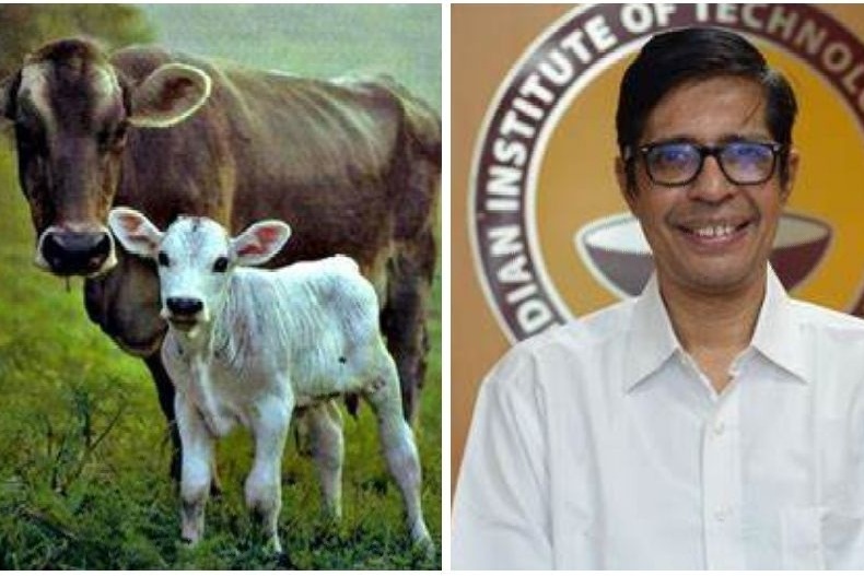 Professor Kamakoti of IIT Madras Advocates Cow Urine as Medicine