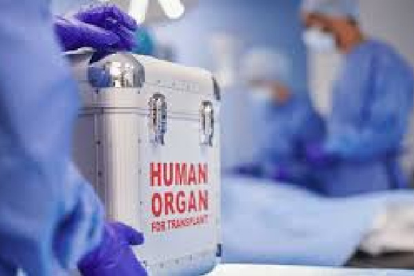 Telangana govt hands over Hyderabad kidney racket case to CID