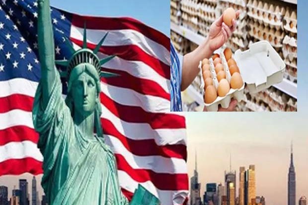 Bird Flu Causes Concerns in the United States