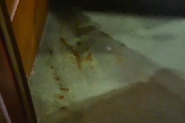 UP MLA Spits Gutka Inside Assembly; Speaker Urges Voluntary Admission