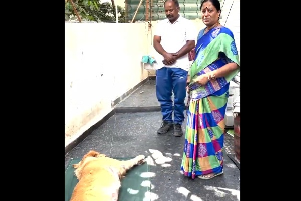 Minister Konda Surekha Mourns the Death of Her Pet Dog – Emotional Video Surfaces
