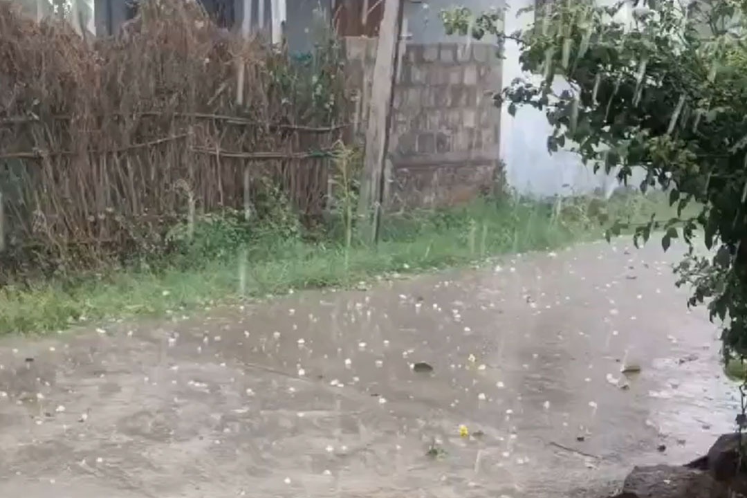 Telangana Faces Crop Damage from Hailstorm; Rain Expected Until Monday