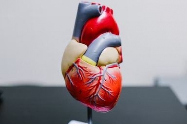 Study decodes who actually needs statin medication to lower cholesterol