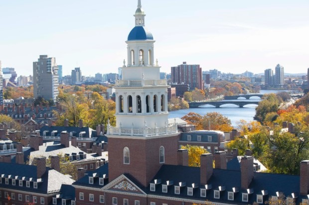 Trump administration launches federal review of Harvard over 'anti-Semitism'