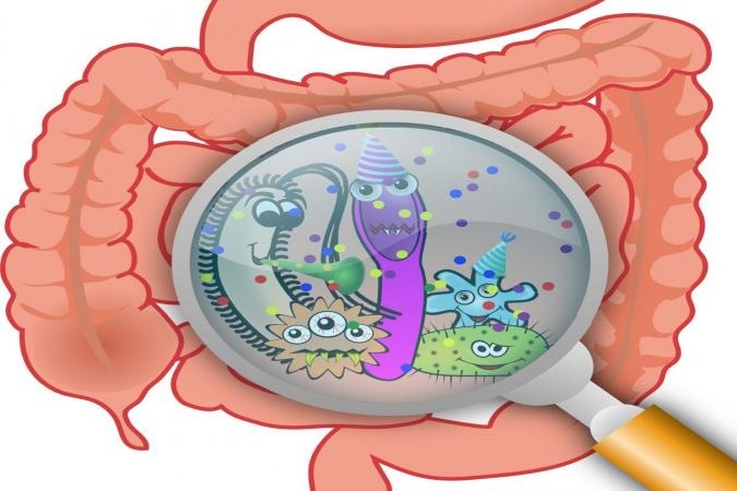 Common gut bacteria can make diabetes, cancer drugs less effective: Study